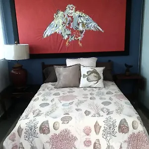 https://isla-verde-by-the-beach-guest-house.greaterantilleshotels.net
