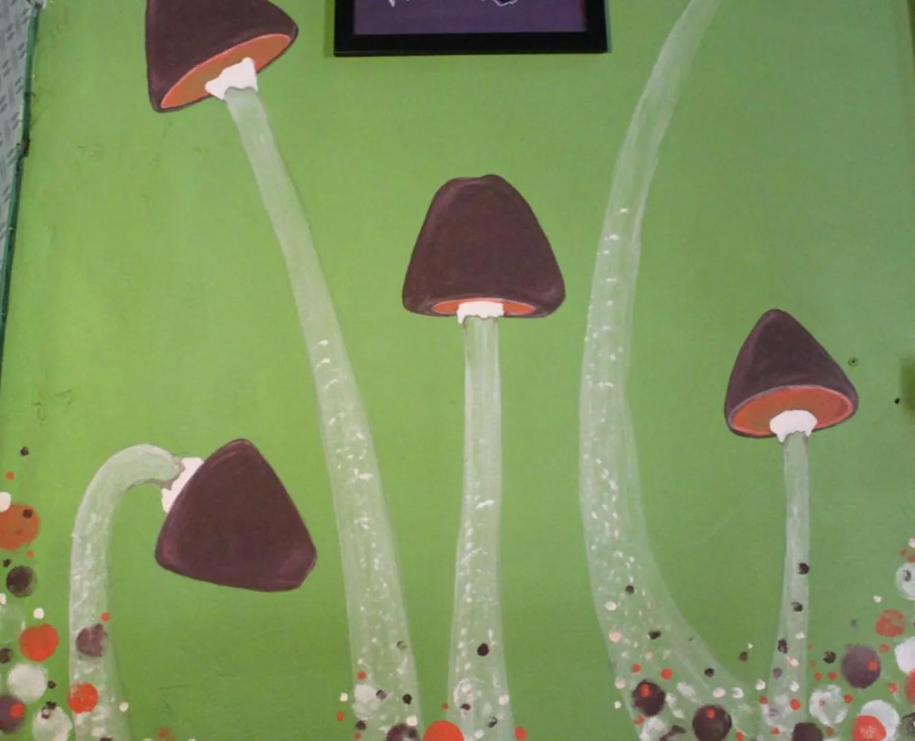 Albergue Fun House Bucarest Hostal